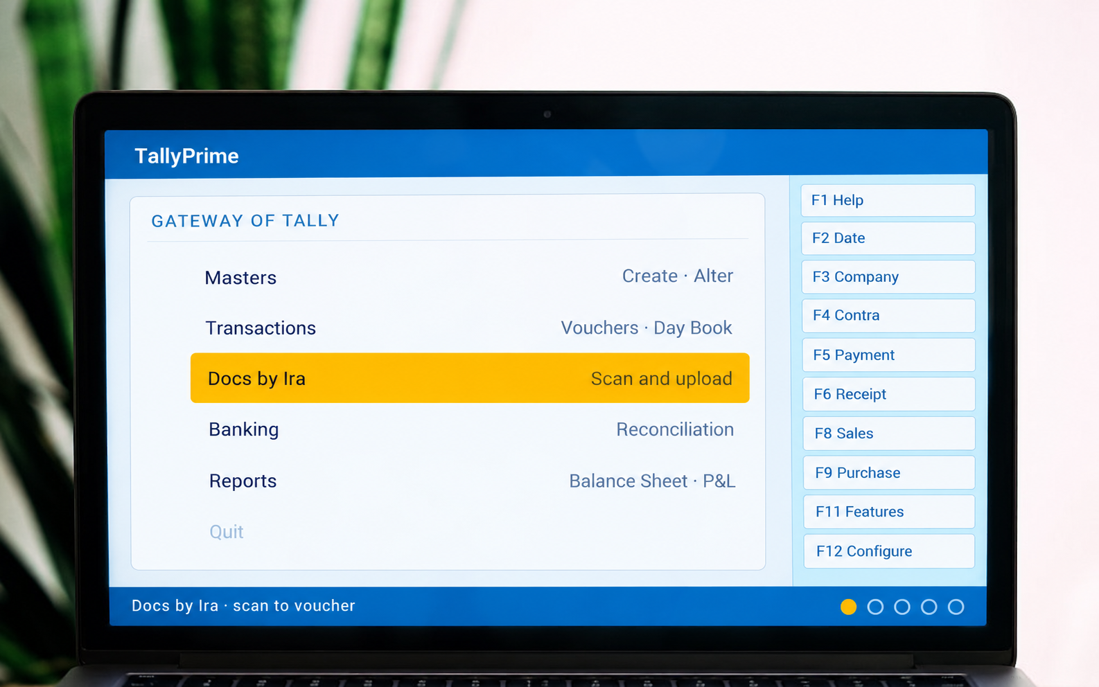Tally Software Services (TSS)